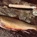 CONCOURS DE PÊCHE-CASTELNAUDARY