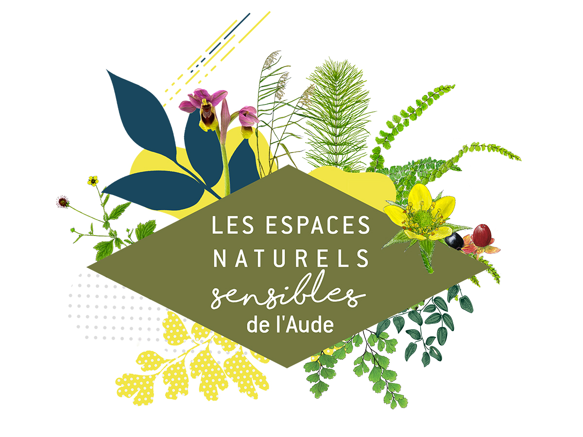 ENS - AUX CONFINS DE LA MONTAGNE NOIRE