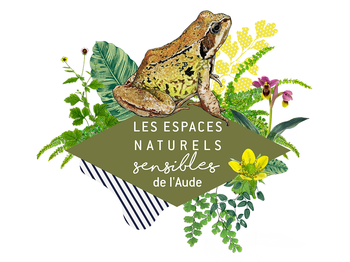ENS - DES ÉTOILES ET UN LAC
