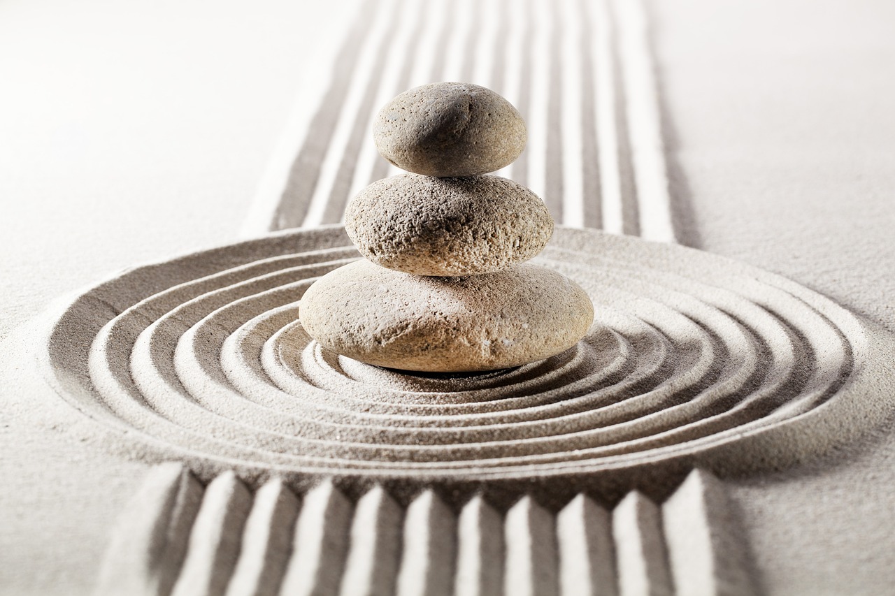 STAGE DE QI GONG